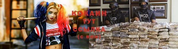 spice Богданович