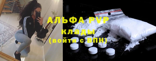 spice Богданович