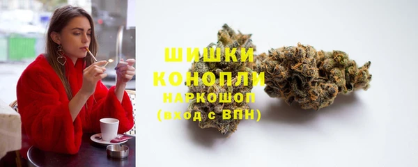 spice Богданович
