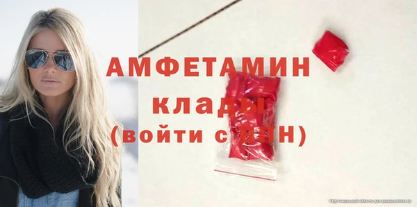 spice Богданович