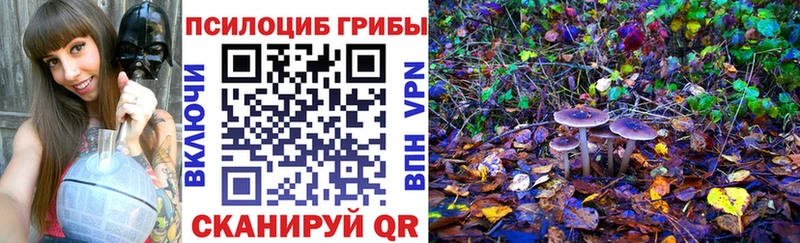 hydra ТОР  Болгар  Галлюциногенные грибы мухоморы 